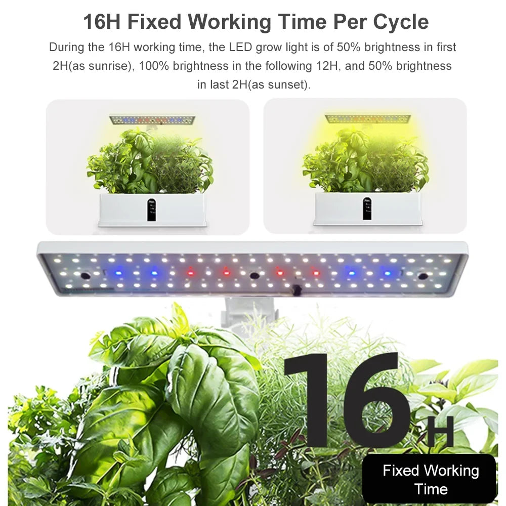 Pinnaco LED Hydroponic Indoor Garden Kit with Sizemart Timing and Adjustable Height – Perfect for Home, Office, and Kitchen