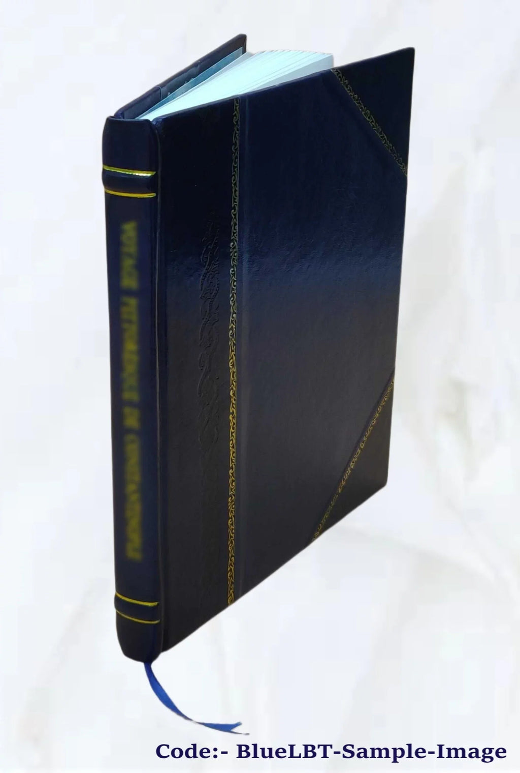 Edinburgh & Glasgow to Sizetirling, : Doune, Callander, Lake of Menteith, Loch Ard, Loch Achray, the Trosachs, Loch Katrine, Loch Lomond... 1873 [Leather Bound]