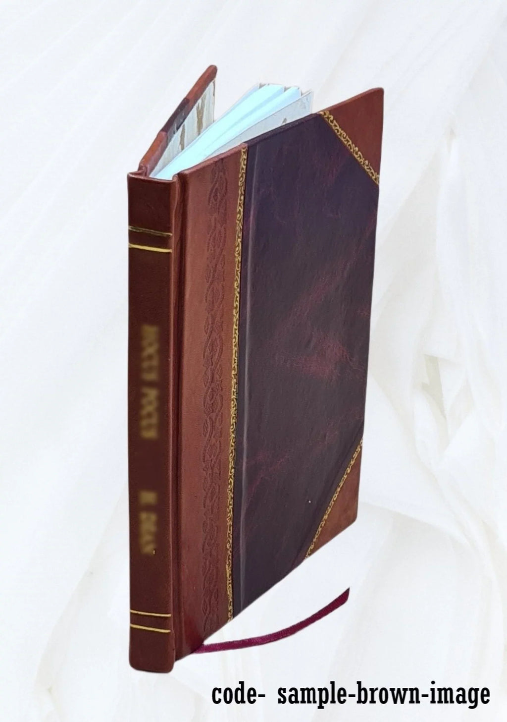 Ghosts what ain't 1923 [Leather Bound]