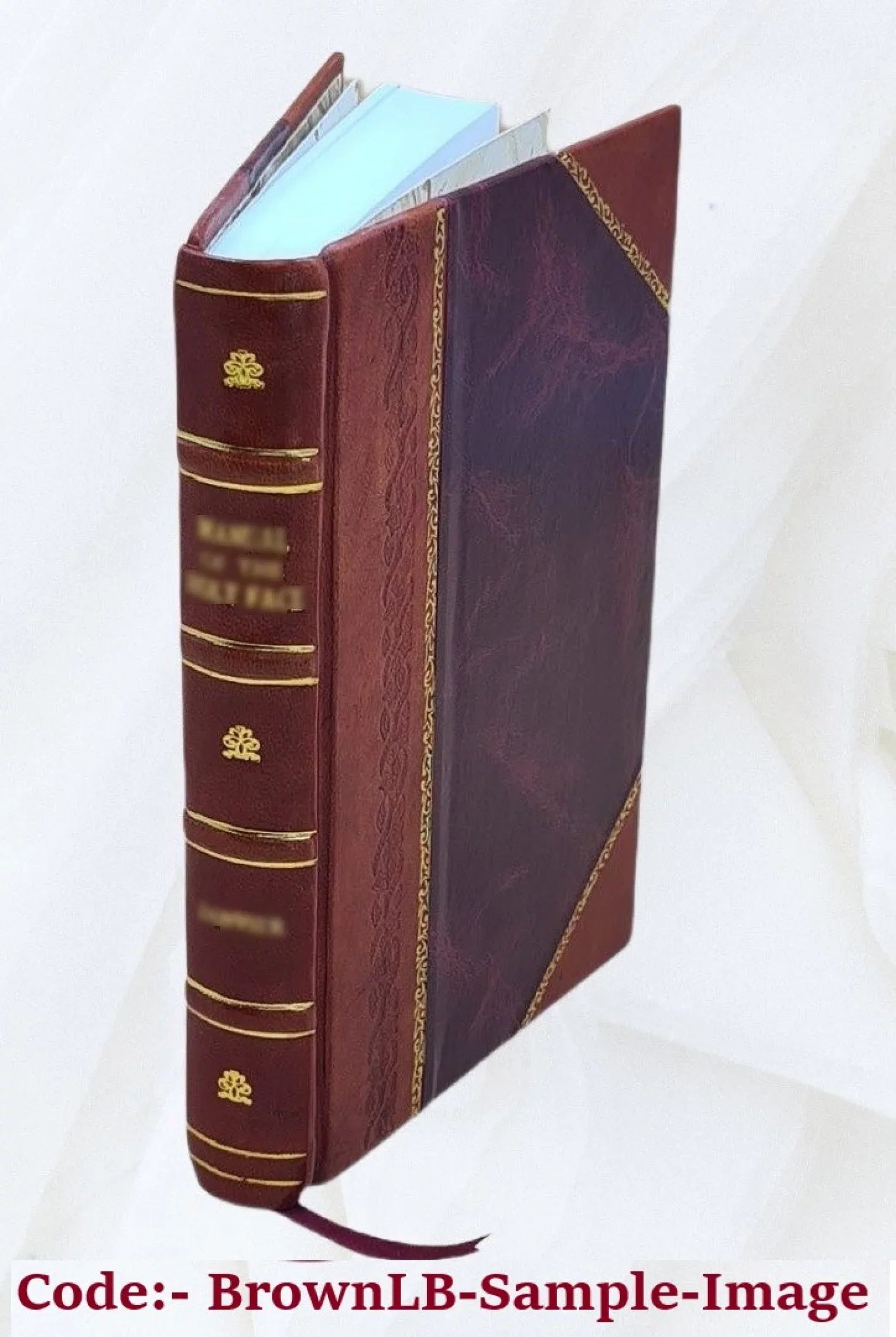 Mr. Buchanan's administration on the eve of the rebellion / James Buchanan. 1865 [Leather Bound]