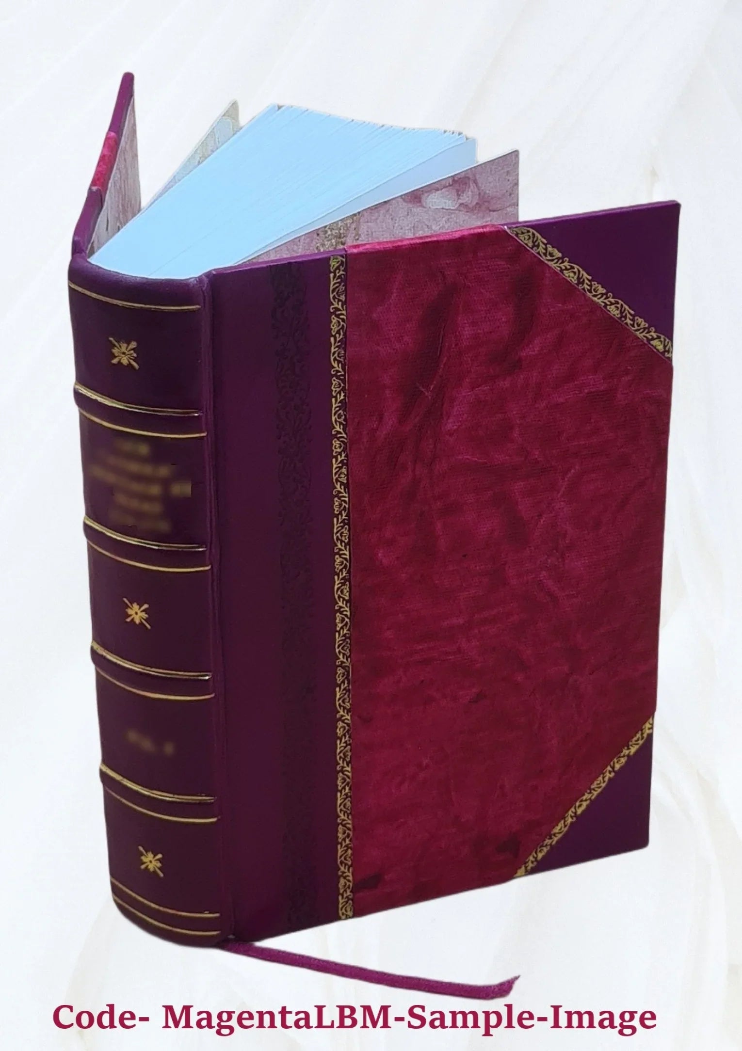 Histoire du peuple de Genève : depuis la Réforme jusqu'à l'escalade 1976 [Leather Bound]