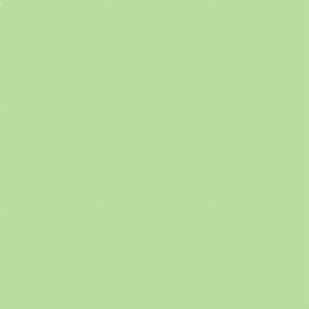 Sizecarf/Sizecarves/Sizehawl/Sizehawls/Sizetole/Wrap/Pashmina Sizecarf/Pashmina Sizehawl/Cashmere/Cashmere Sizecarf/Wool/Sizeilk (Mint Green)