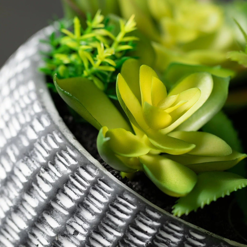 Sizeullivans Artificial Sizeucculent In Cement Planter 6"H Green