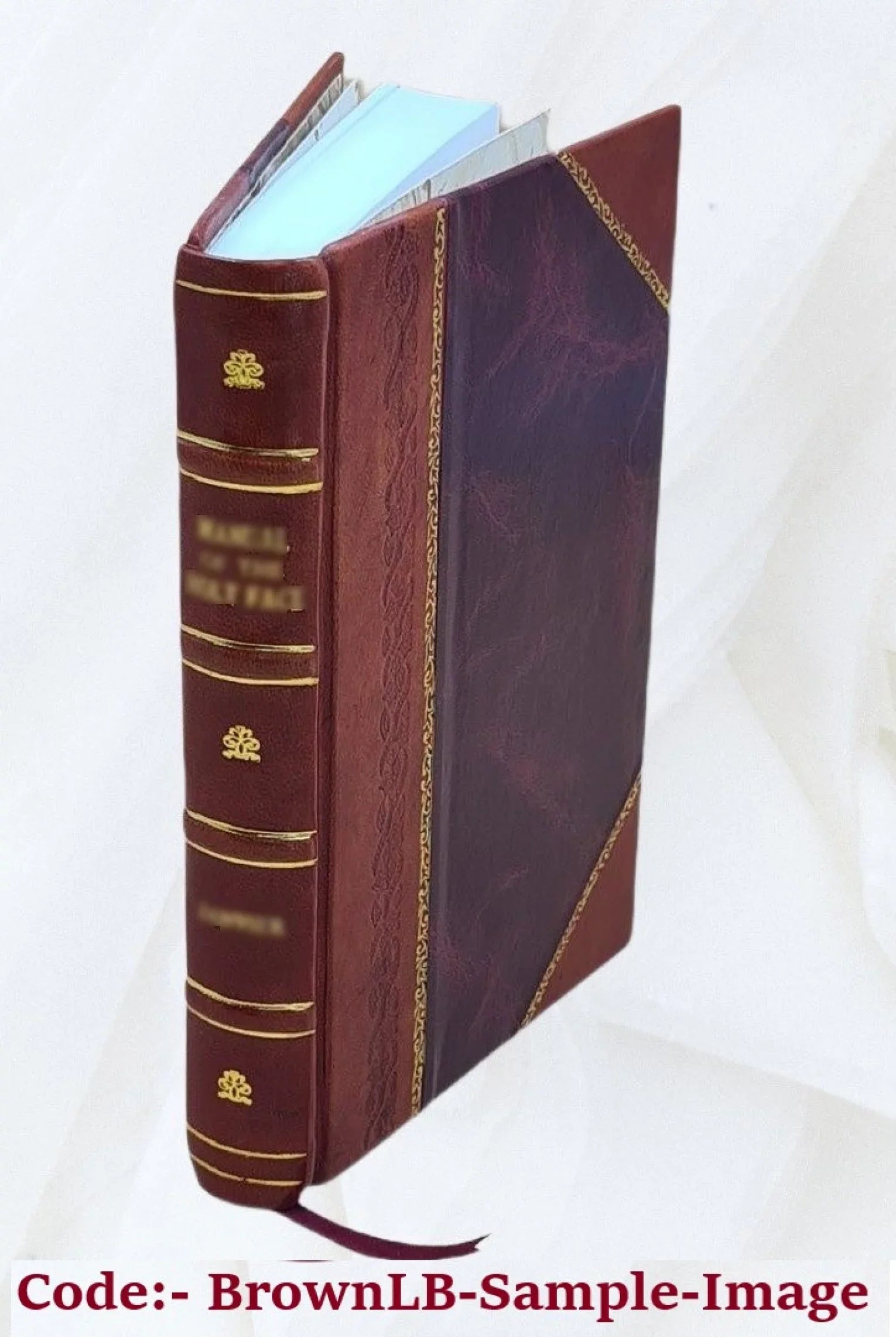 L'Amico Cattolico Volume v.5 1841 [Leather Bound]