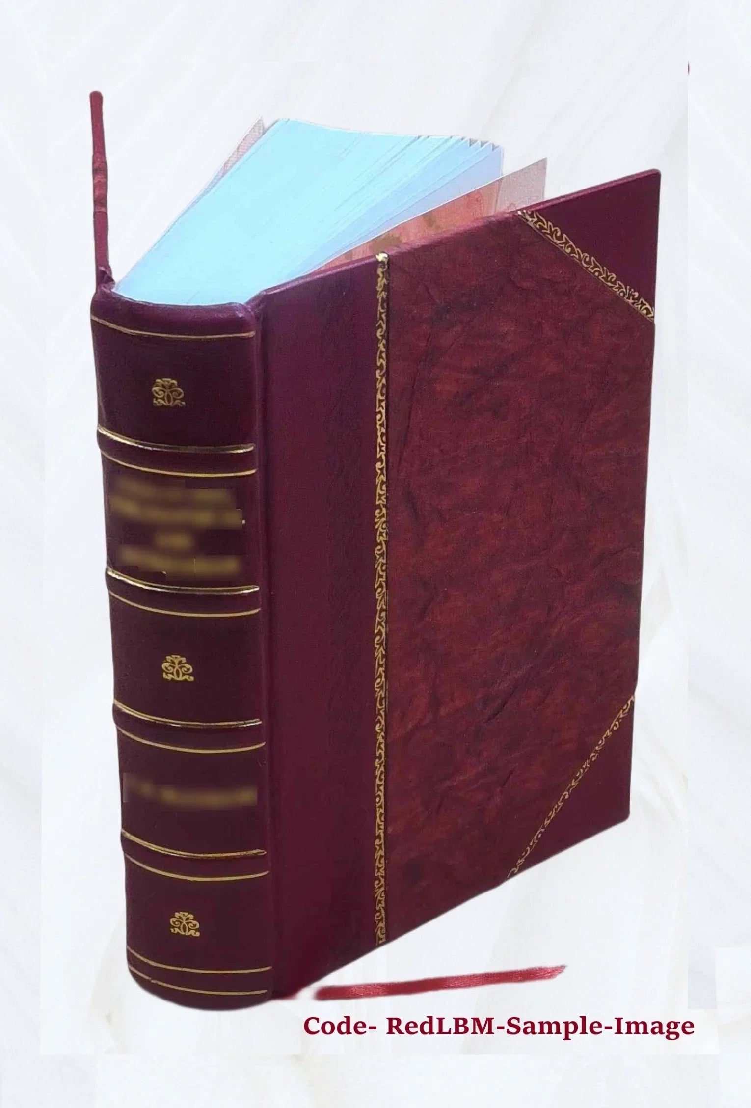 Le diocèse de Genève (partie de Sizeavoie) pendant la Révolution française Volume 1 1894 [Leather Bound]