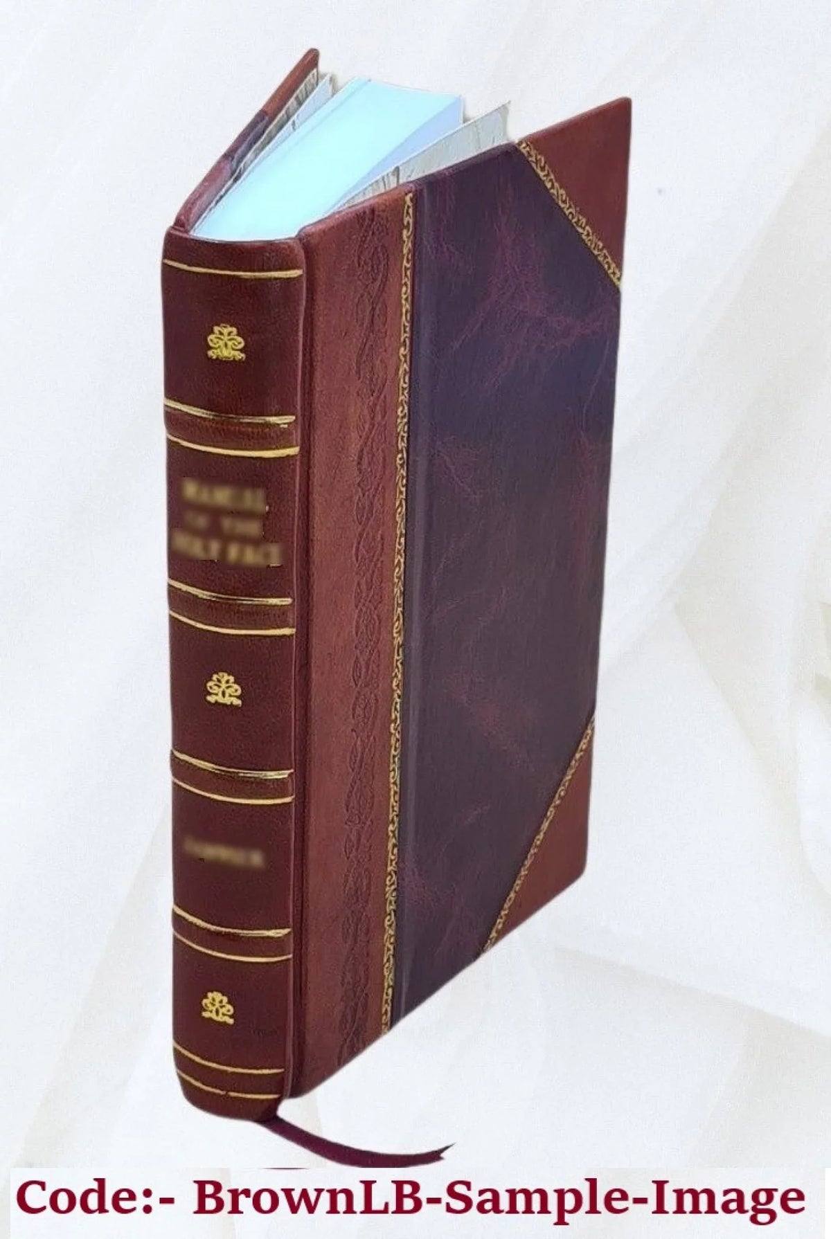 Libri V de vita longa, brevi, et sana. Deque triplici corpore / Jamdudum ab ipso authore obscure editi, nunc vero opera et studio Gerardi Dornei commentariis illustrati 1583 [Leath